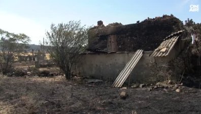 Огромни щети в Сакар планина: Животновъдите са обречени на гибел