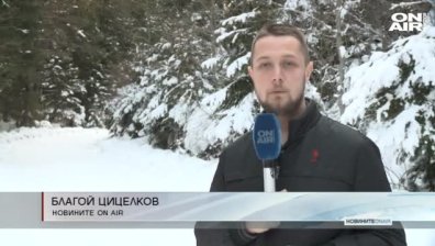Късна емисия