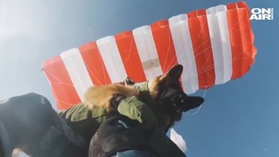 Четириног военен от китайската армия скочи с парашут (ВИДЕО)