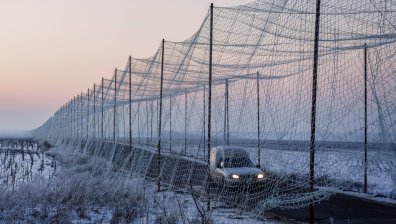Украйна спира руските дронове с рибарски мрежи и такива за защита на лалета