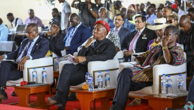 Русия вече доставя 200 000 тона безплатно зърно в Африка