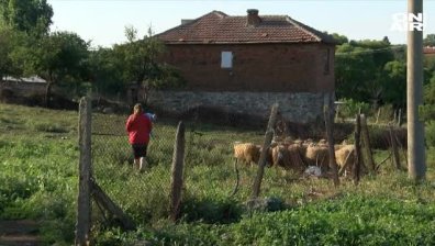 Заради чумата в Болярово: Еврокомисията налага санкции на България