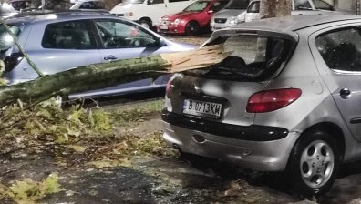 "Фредерик" помете Варненско: Повали дървета, стълбове, светофари. Отмениха полети (+СНИМКИ)