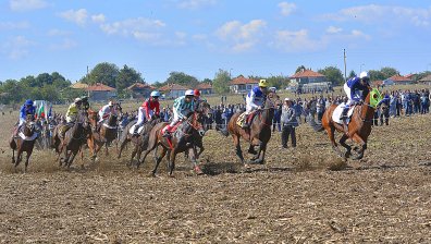 Популярни ли са конните надбягвания в България?