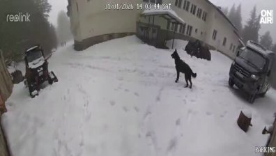 Доц. Милен Иванов за "Петрохан": Феномен е човек да се самоубие два пъти с изстрел в главата