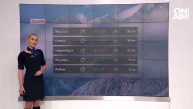 Централна прогноза