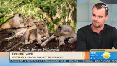 Уникално: На обектив разстояние от ноктите на дивия свят