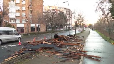 Буря събори покрив на блок в Несебър, изкорени дървета и остави селища без ток