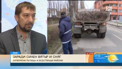АПИ успокоява: Няма блокирани пътища от дървета и камъни!