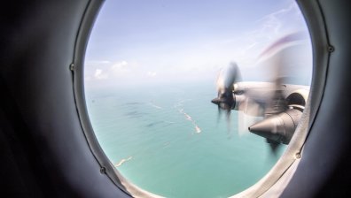 Цунами, райска природа, земетресения: Интересни факти за кралство Тонга