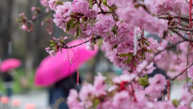 Скоро температурите ще надвишават 20 градуса, но на Великден ще вали дъжд