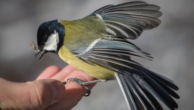 Времето днес: Облачно и с температури до 15 градуса