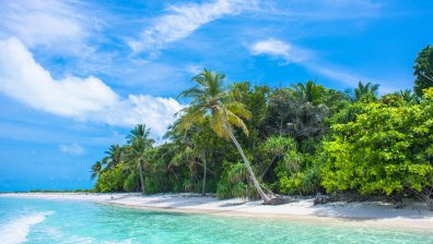 Kaнapcĸи ocтpoв ce пpeвъpнa в лaбopaтopия зa възoбнoвяeмa eнepгия