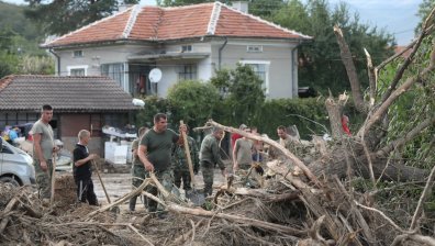 По 50 кубика безплатни дърва ще получат пострадалите в Карловско