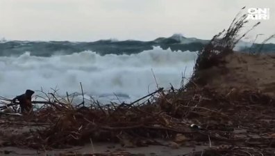 Балтийските страни сковани от бури, трима загинаха