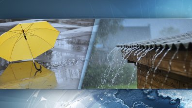Буря прекърши дървета и потроши коли в Кърджали