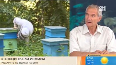 Пчелари на бунт: Хиляди пчели изчезват, изкупната цена на меда е ниска