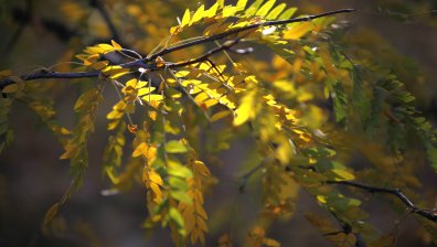 Времето във вторник остава хладно, но очакваме затопляне следващите дни