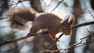 Времето днес: Преобладаващо слънчево, но със студени температури