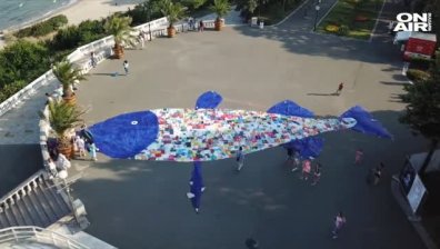 Огромна риба от найлонови торбички се появи в Бургас