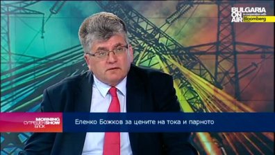 Ел. Божков: Задържането на цената на тока ще зависи от договарянето с американските централи