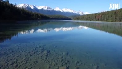 От жертви до заподозрени в серия убийства: Историята на двама тийнейджъри