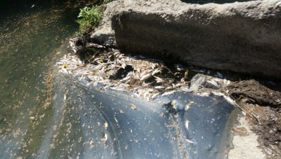 Цианид в реките Юговска и Чепеларска, започват екопроверки