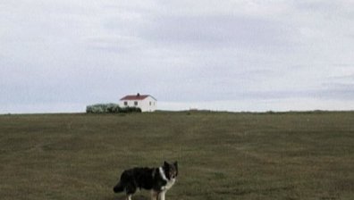 Китайци купуват земя в Исландия
