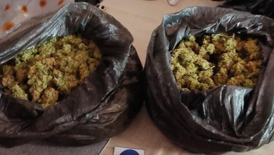 Задържаха 5 души при спецоперация във Варна и Добрич срещу разпространение на дрога 