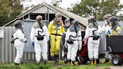 Дания умъртвява всички норки заради мутация на Ковид-19