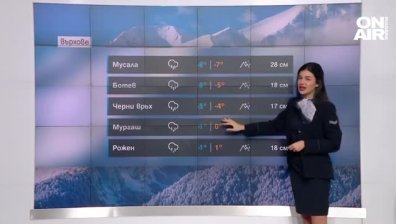 Сутрешна прогноза