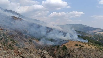 Искри в НС заради пожарите: Къде са парите и техниката за гасене