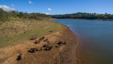 Природните ресурси може да станат оскъдни без сериозно финансиране