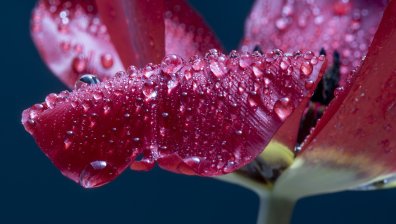 Предупреждение от първа степен за обилни валежи