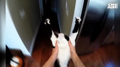 Ние сме шампионите!