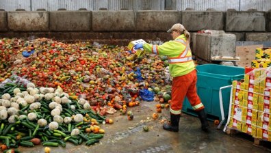 ООН: 14% от произведената храна в света се губи всяка година