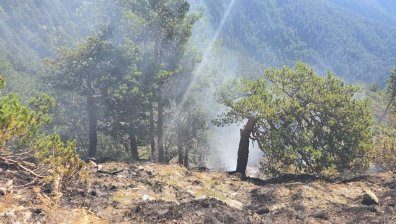 3500 са пожарите у нас през юли - с 20% повече от миналата година