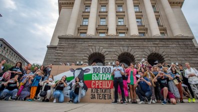 Със 110 000 подписа поискаха законова забрана на клетките за телета