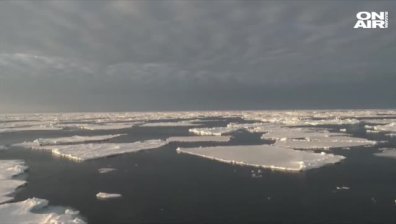Светът е изправен пред сериозна екологична криза