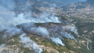 Локализираха пожара край Хвойна, обхванал е около 1500 декара