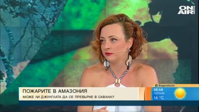 Горят "белите дробове&ldquo; на планетата. Защо Бразилия отказа помощ от 20 млн. евро?