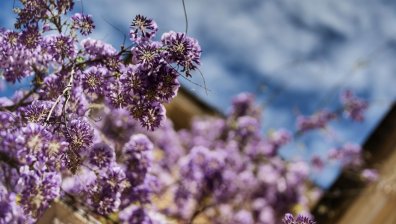 Облачна събота с валежи на много места в страната