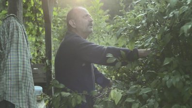 Един по-различен документален филм за Филип Трифонов със смешно-тъжното, изпълнено с много обич заглавие &bdquo;Фипо: луд за пенсия"