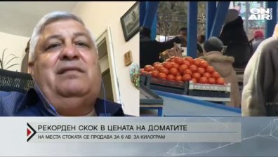 Цената на доматите скочи до рекордни нива