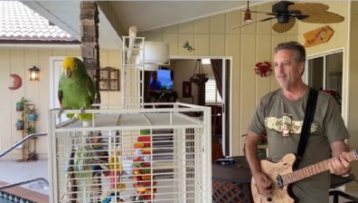 Папагал пее в дует със стопанина си парчета на Бон Джоуви и "Бийтълс" (+видео)