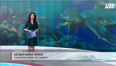 Лекари в Тайланд извадиха 5 килограма монети от стомаха на костенурка