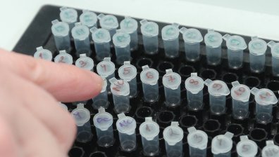 Ковид-19: Без починали и ваксинирани за денонощието, 12,7% са положителните проби