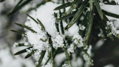 Първият сняг за сезона падна в Пампорово (ВИДЕО)