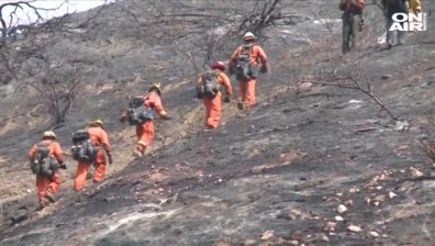 Овладяха пожара край Лос Анджелис 