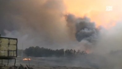 Пожар в Португалия взе десетки жертви